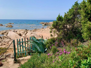 Villa Nausicaa
